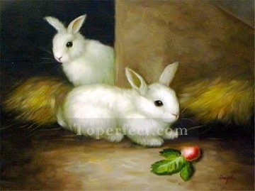 dw004hD 動物 ウサギ Oil Paintings